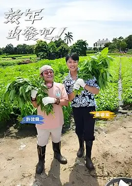 在线观看一区综艺拆解一下封面